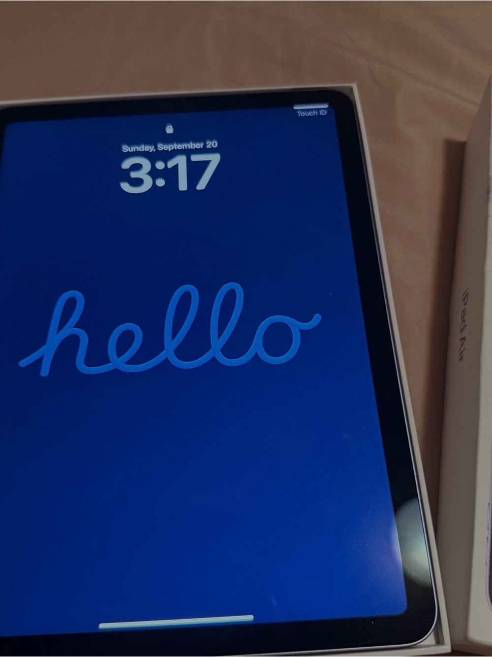 Apple iPad Air in Blue with White Bezel